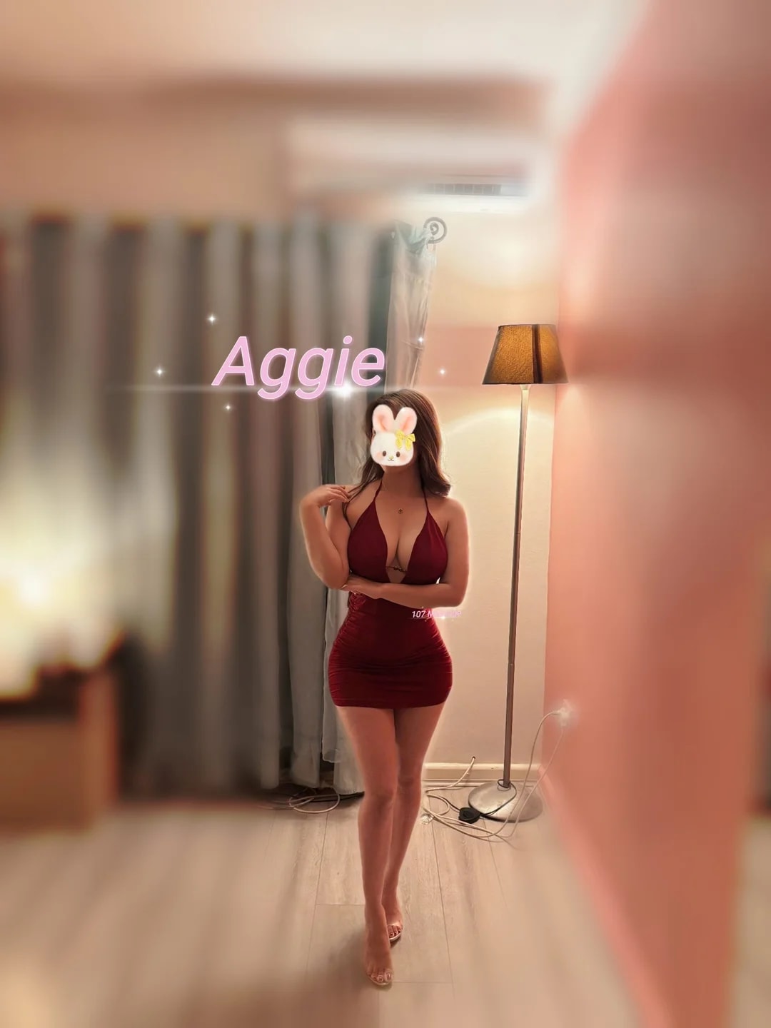 Aggie, ảnh 2