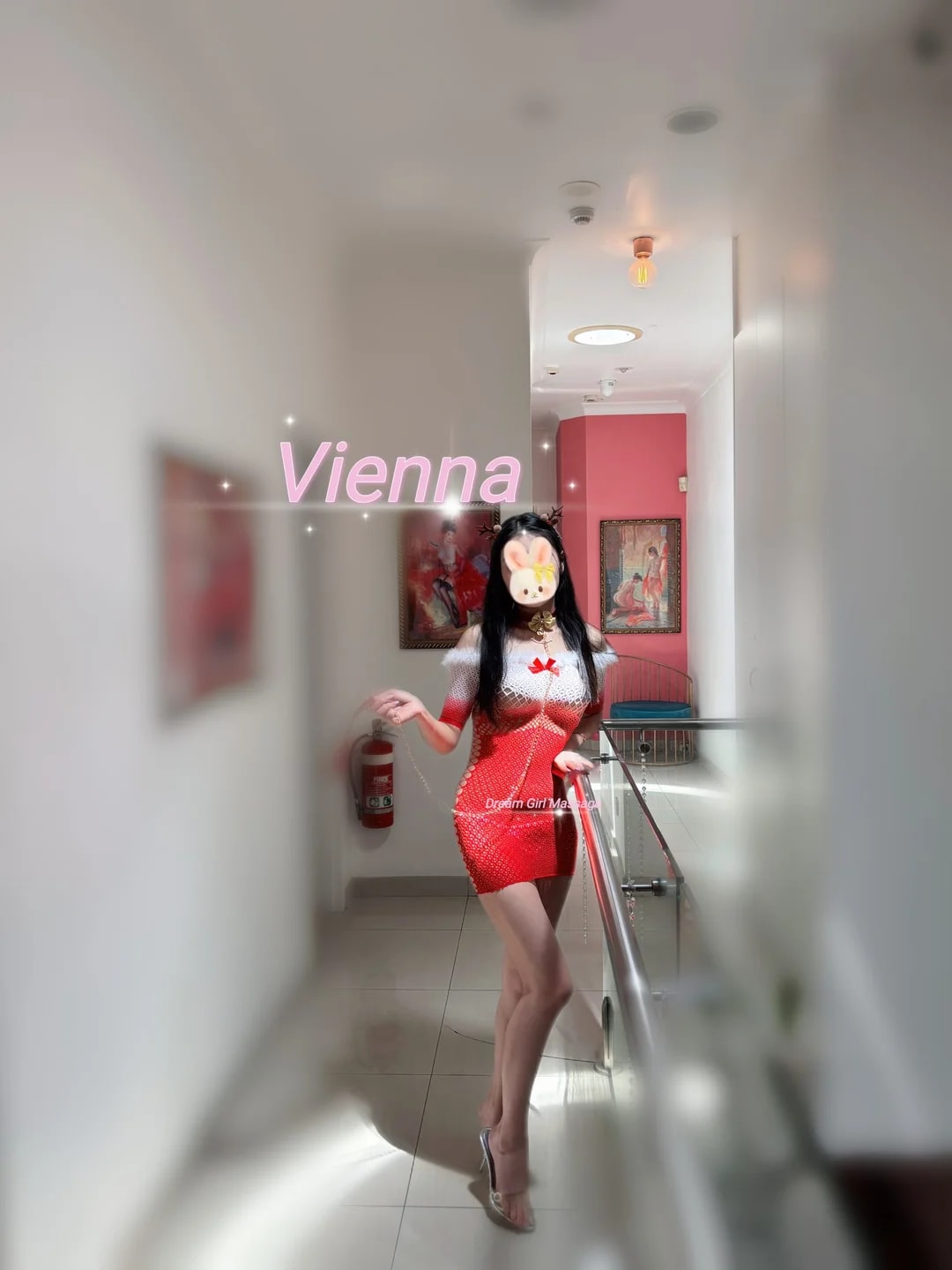 Vienna、写真1